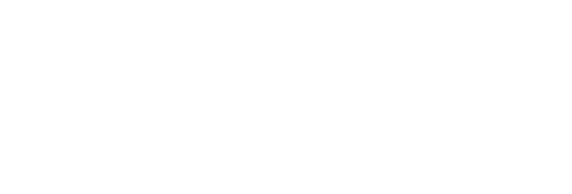 light logo